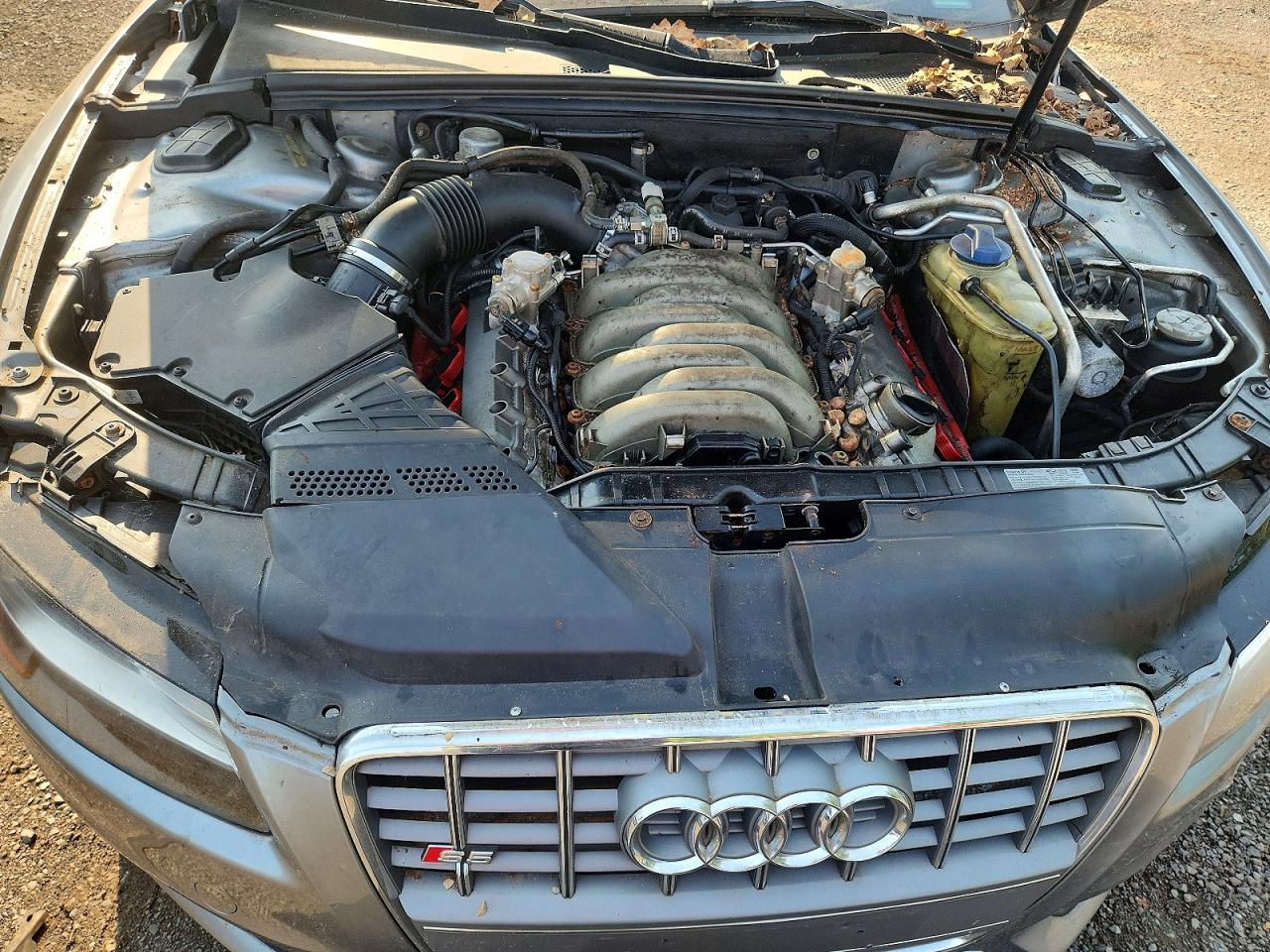 2009 Audi S5 Quattro Gray vin: WAURV78T69A028003