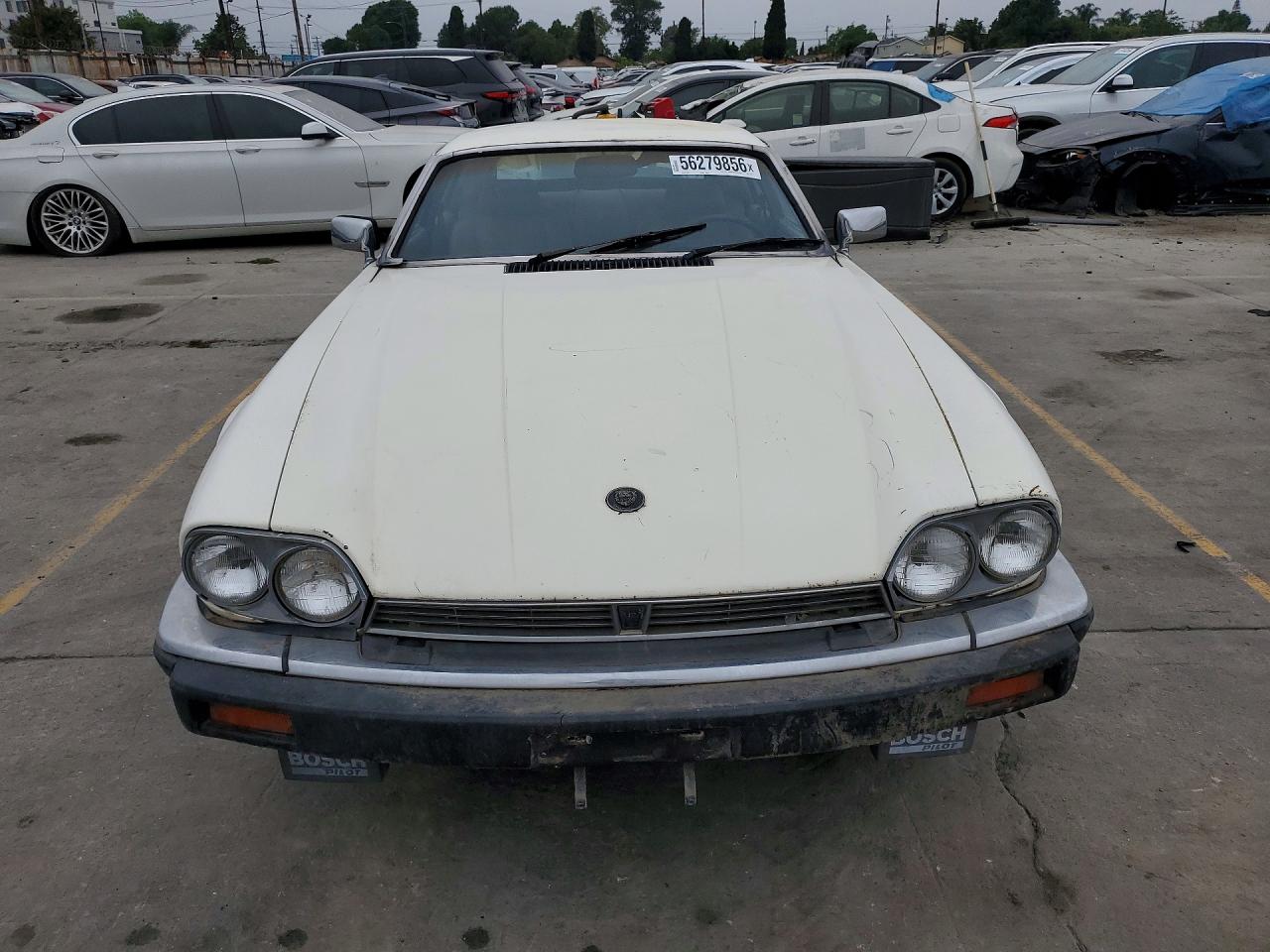 1984 Jaguar Xjs White vin: SAJNV5842EC113497