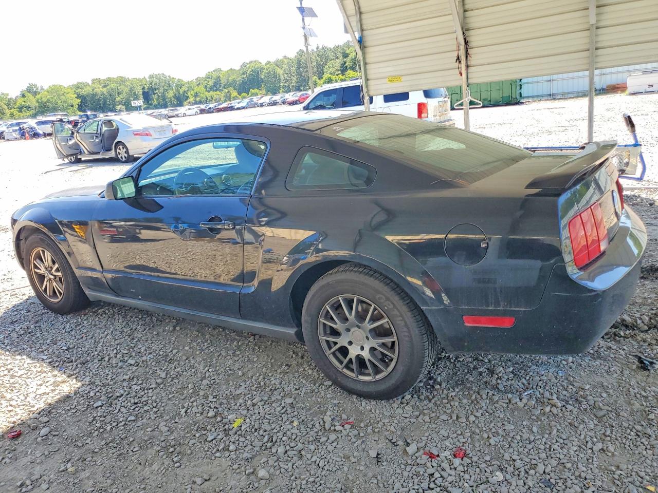 2005 Ford Mustang Черный vin: 1ZVFT80N055193401