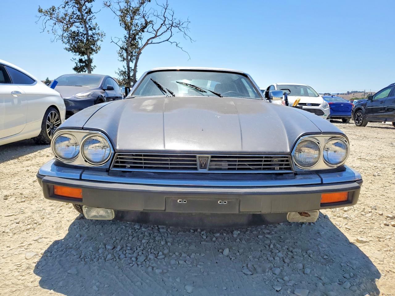1989 Jaguar Xjs Gray vin: SAJNA5844KC155676