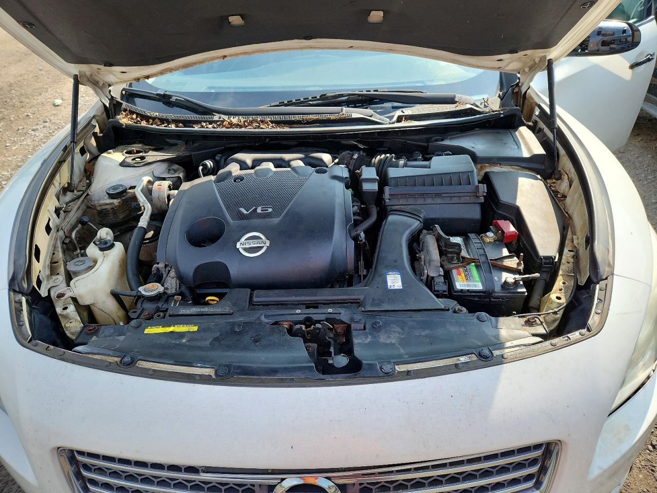 2009 Nissan Maxima 3.5 S White vin: 1N4AA51E29C829954