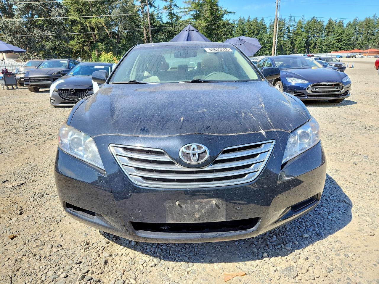 2009 Toyota Camry Hybrid Black vin: 4T1BB46K59U093134