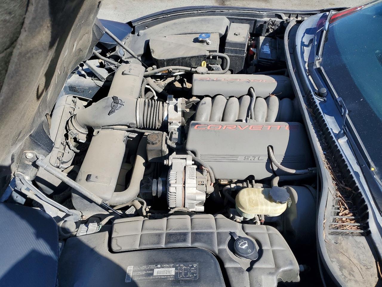 2002 Chevrolet Corvette Black vin: 1G1YY32G825115600