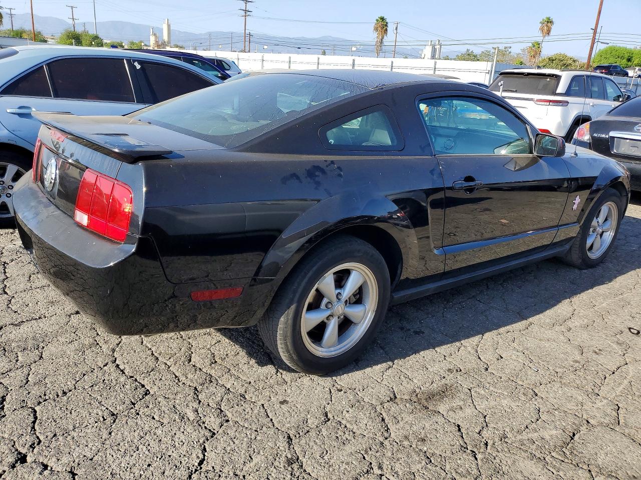 2008 Ford Mustang Black vin: 1ZVHT80N485148670