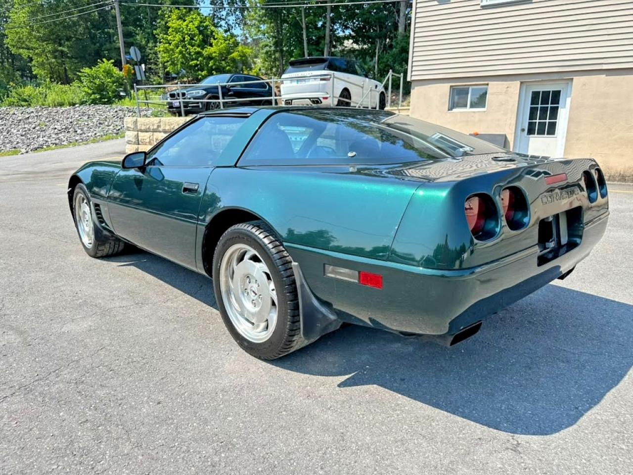 1995 Chevrolet Corvette Green vin: 1G1YY22P0S5114497