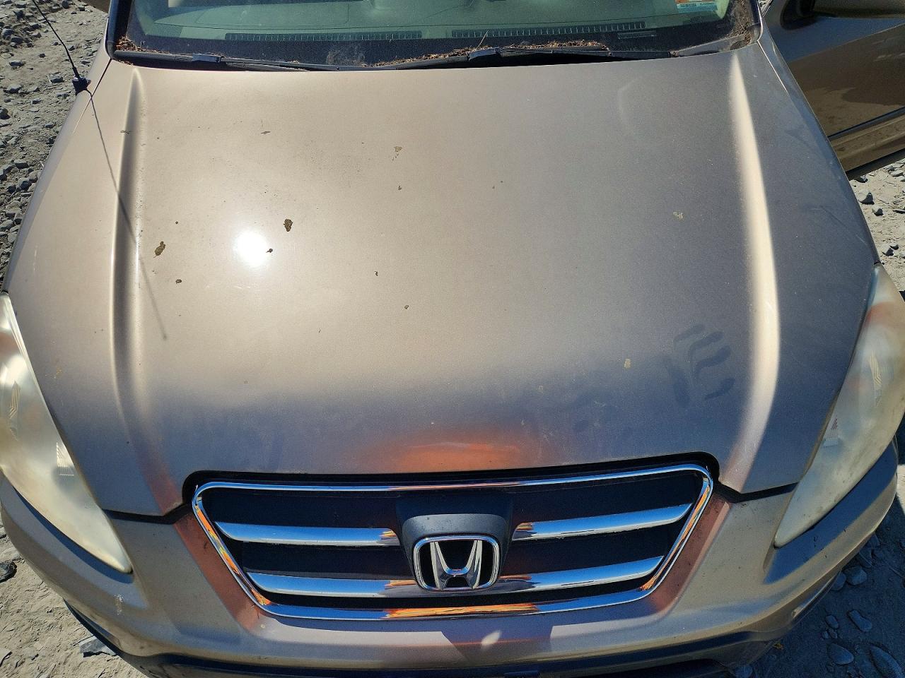 2006 Honda Cr-v Se Beige vin: JHLRD78966C034106