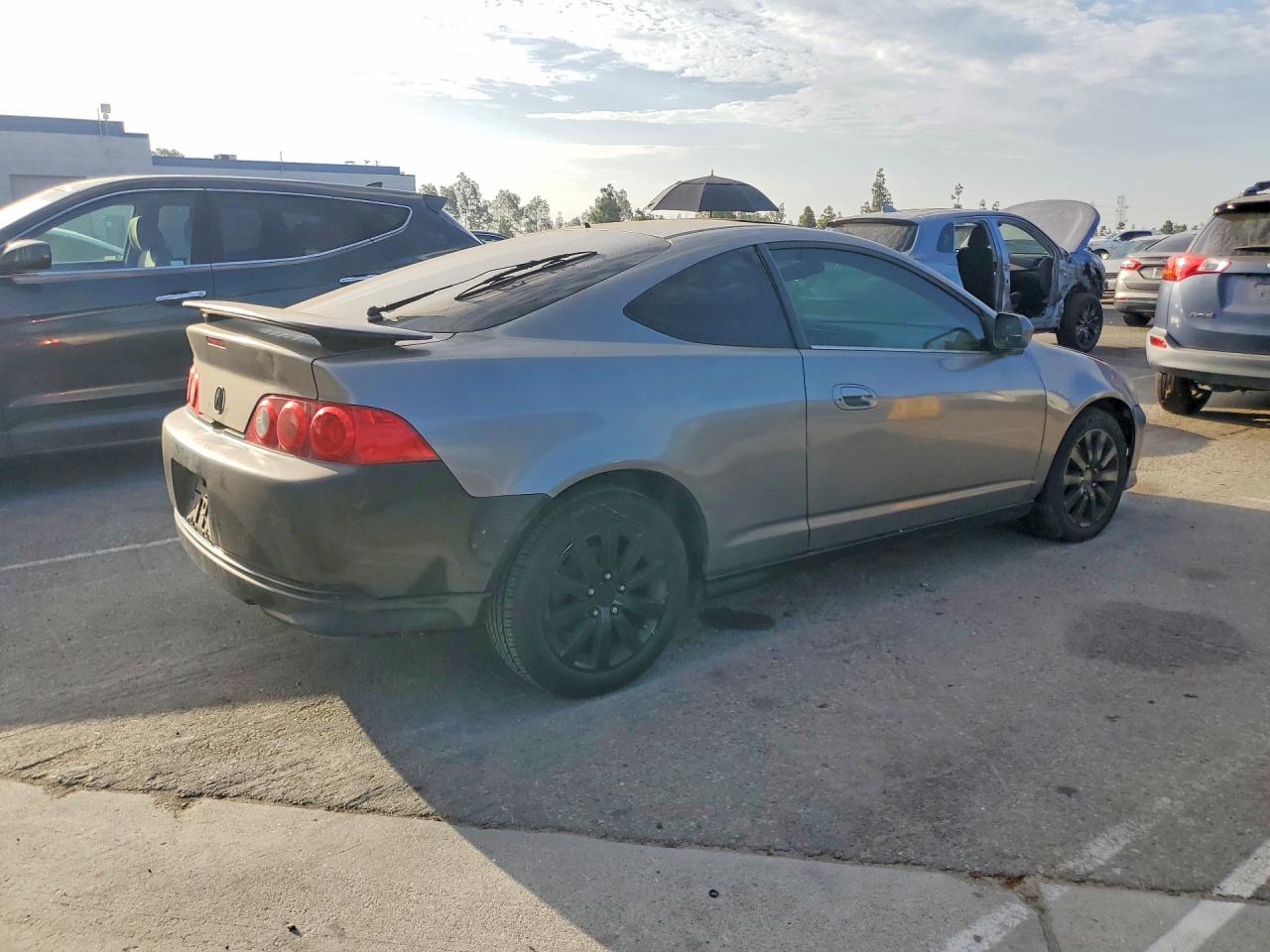 2005 Acura Rsx Gray vin: JH4DC54885S008251