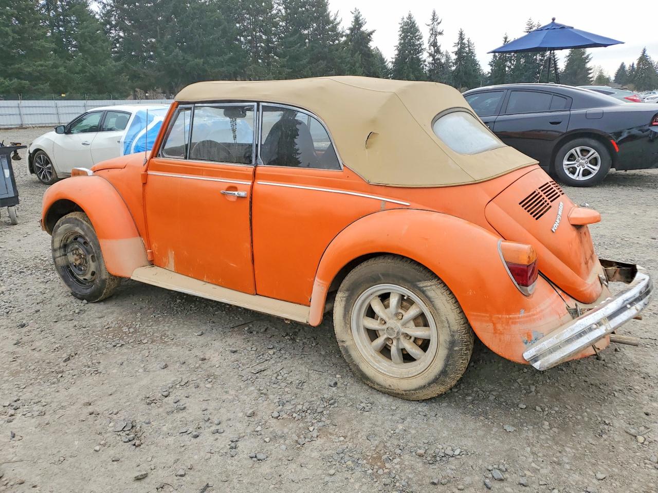 1973 Volkswagen Beetle Convertible ( Оранжевый vin: 1532620794