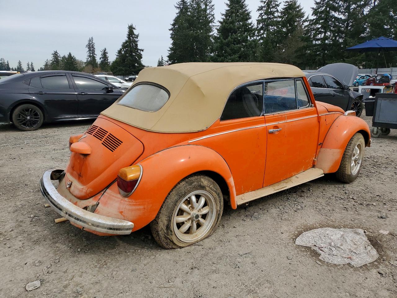 1973 Volkswagen Beetle Convertible ( Оранжевый vin: 1532620794