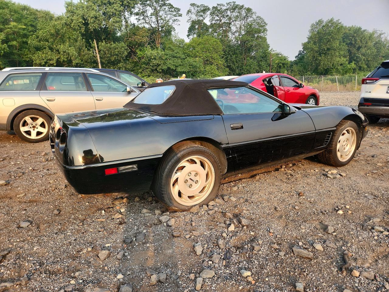 1995 Chevrolet Corvette Black vin: 1G1YY32P4S5102794
