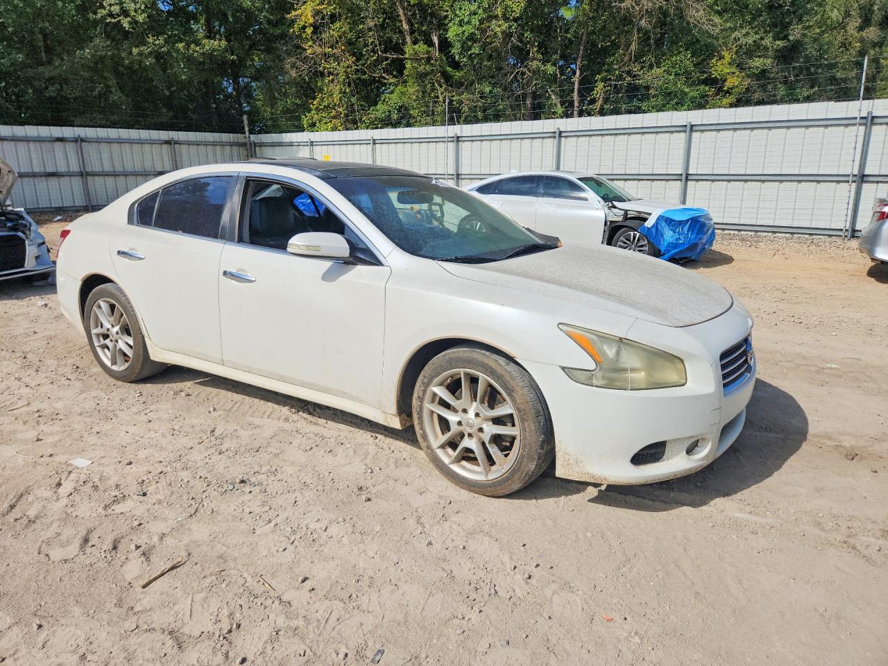 2009 Nissan Maxima 3.5 S White vin: 1N4AA51E39C833902