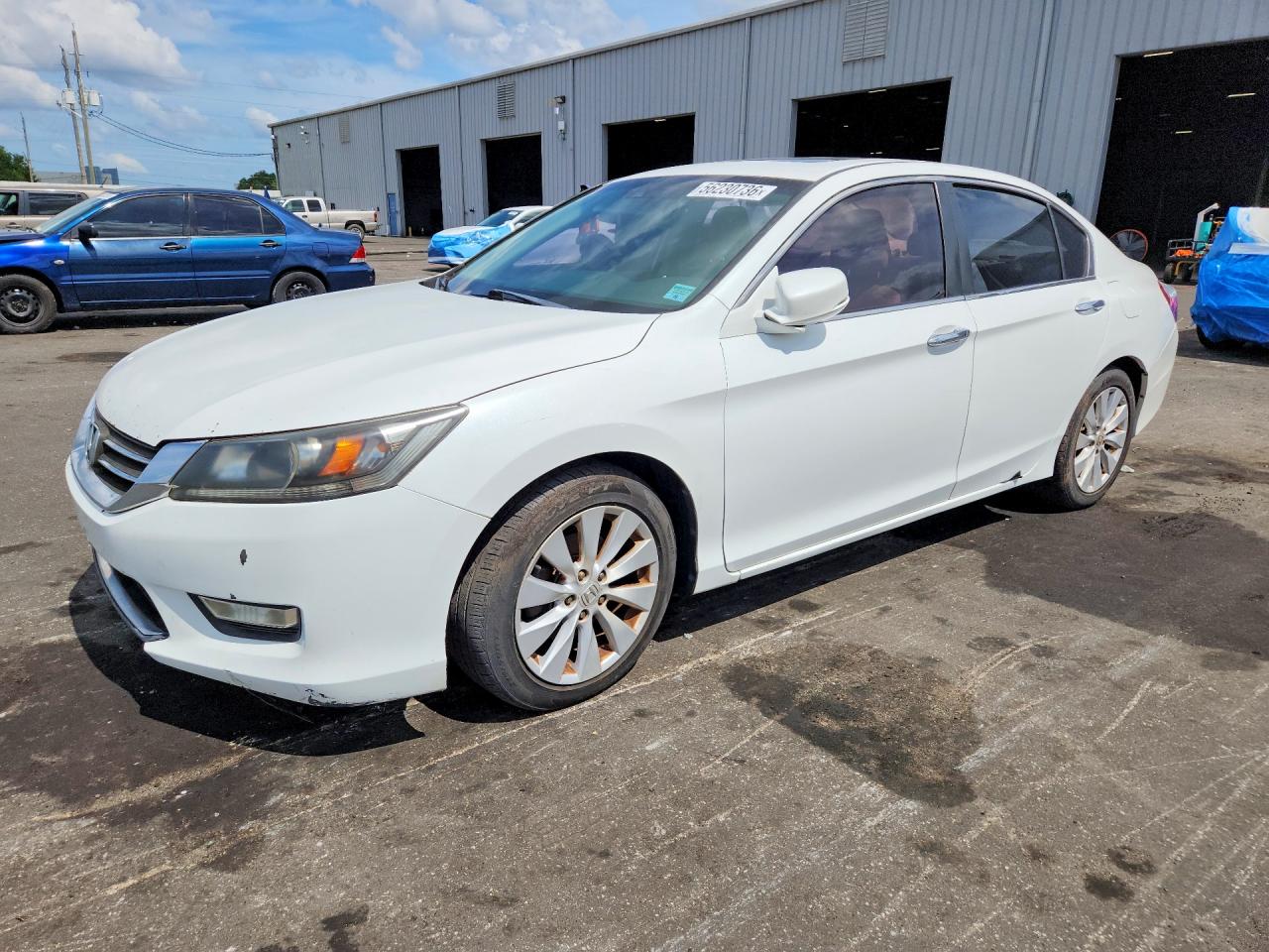 2015 Honda Accord Exl White vin: 1HGCR2F82FA031864
