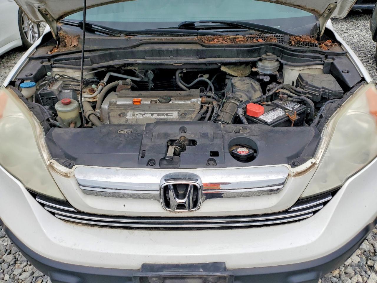 2009 Honda Cr-v Ex White vin: 5J6RE48599L058940