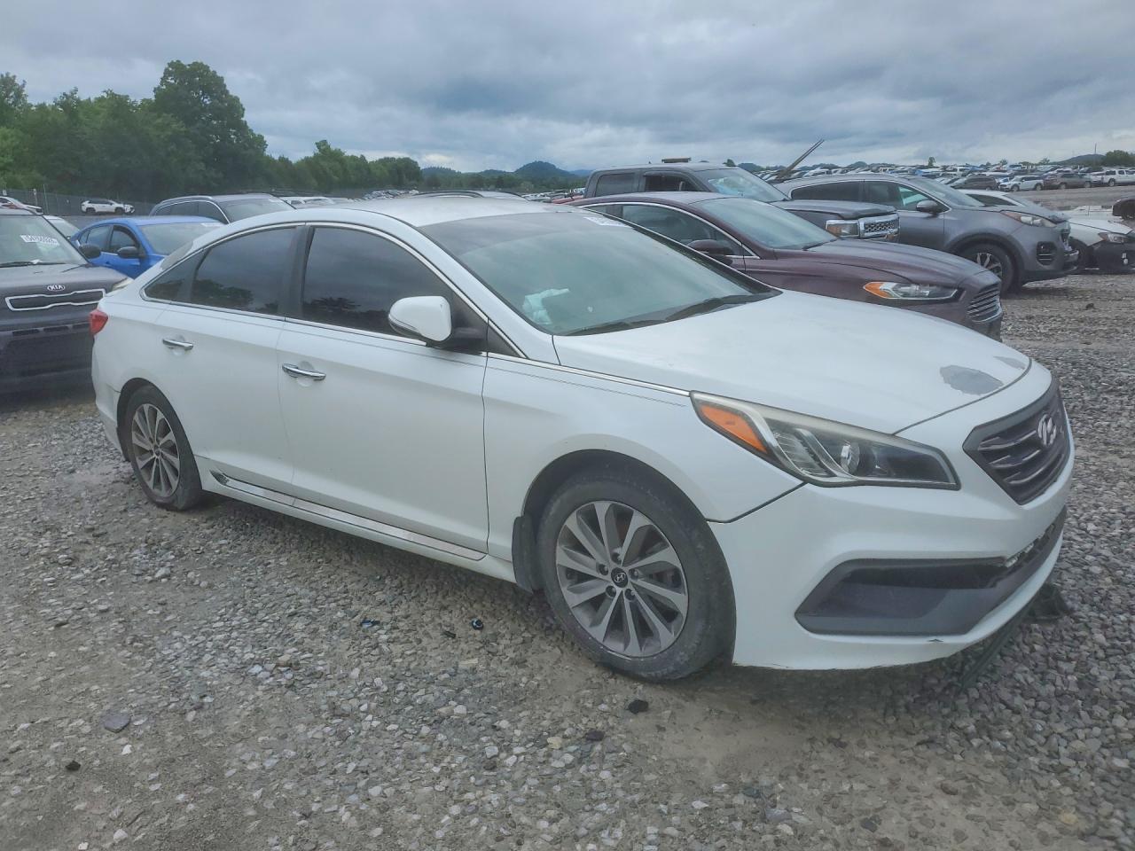 2015 Hyundai Sonata Sport Белый vin: 5NPE34AF0FH103969