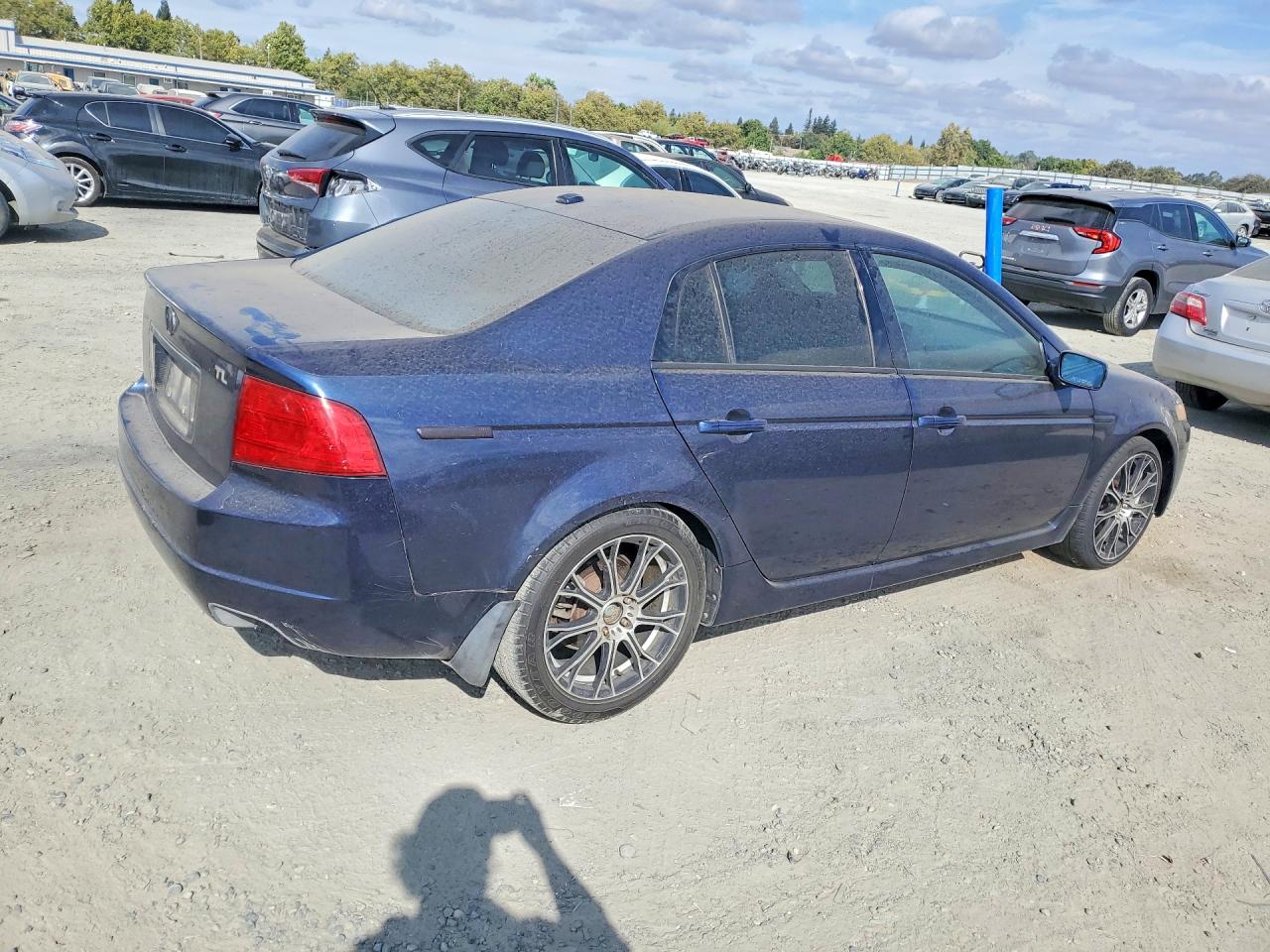 2004 Acura Tl Blue vin: 19UUA66214A070053