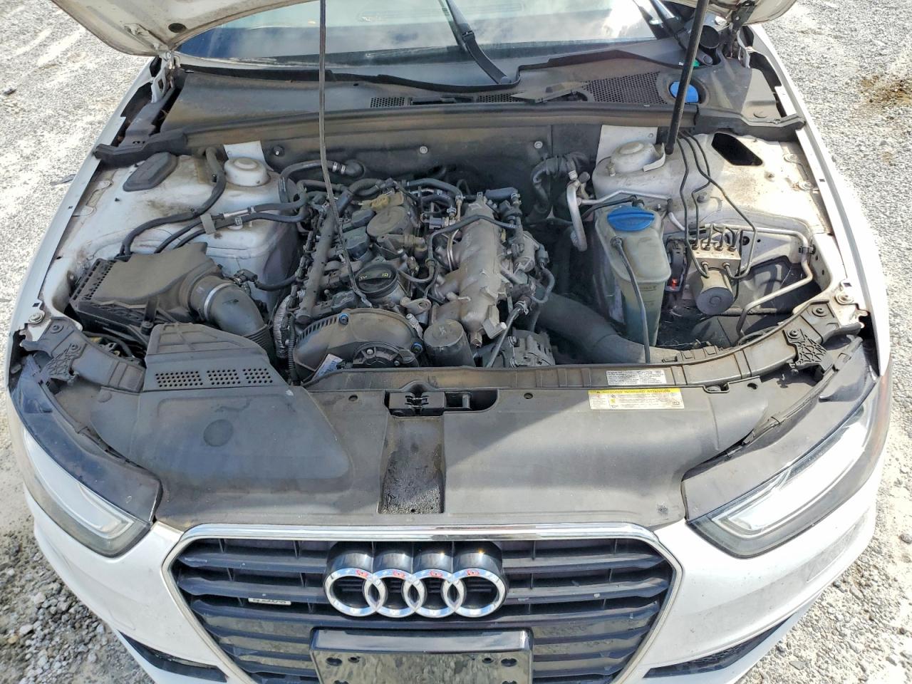 2014 Audi A4 Premium Plus White vin: WAUFFAFLXEN043977