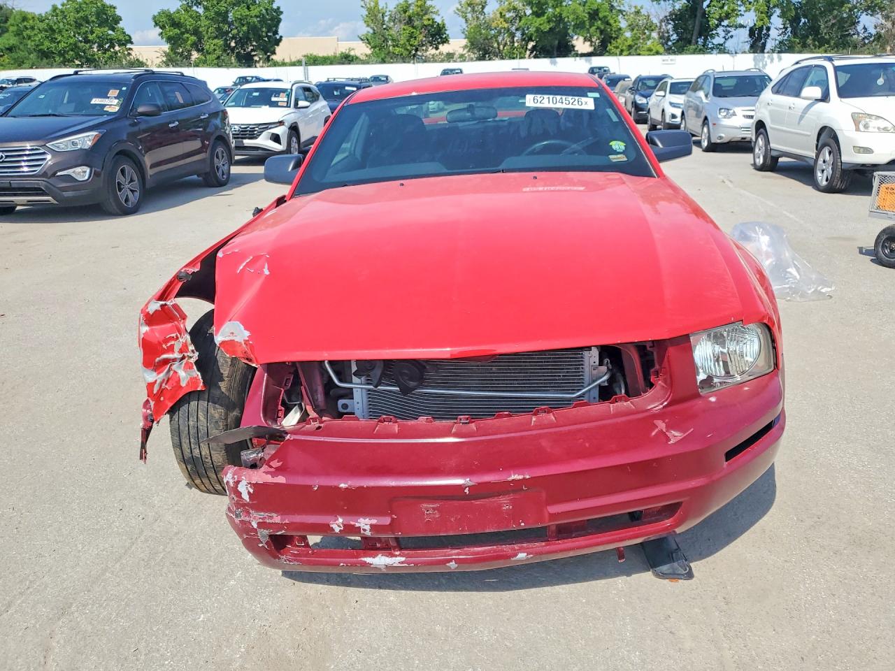 2006 Ford Mustang Red vin: 1ZVFT80N265117194