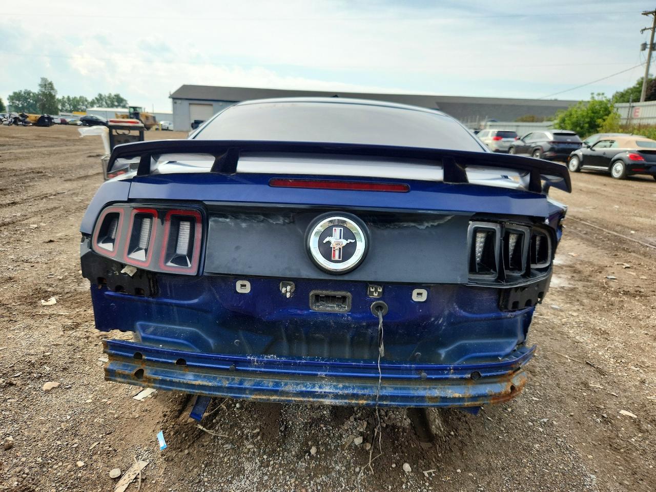 2013 Ford Mustang Blue vin: 1ZVBP8AM1D5266637