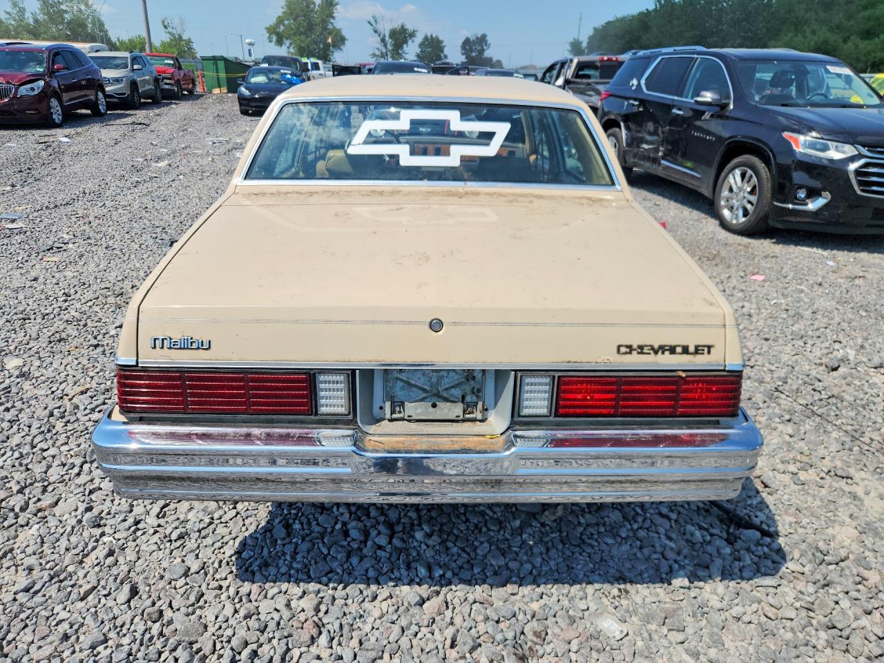 1982 Chevrolet Malibu Classic Бежевый vin: 1G1AW69K8CB175379