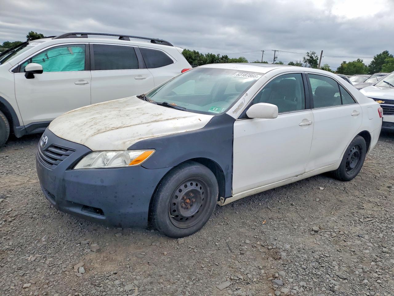 2009 Toyota Camry Le White vin: 4T4BE46K19R136056