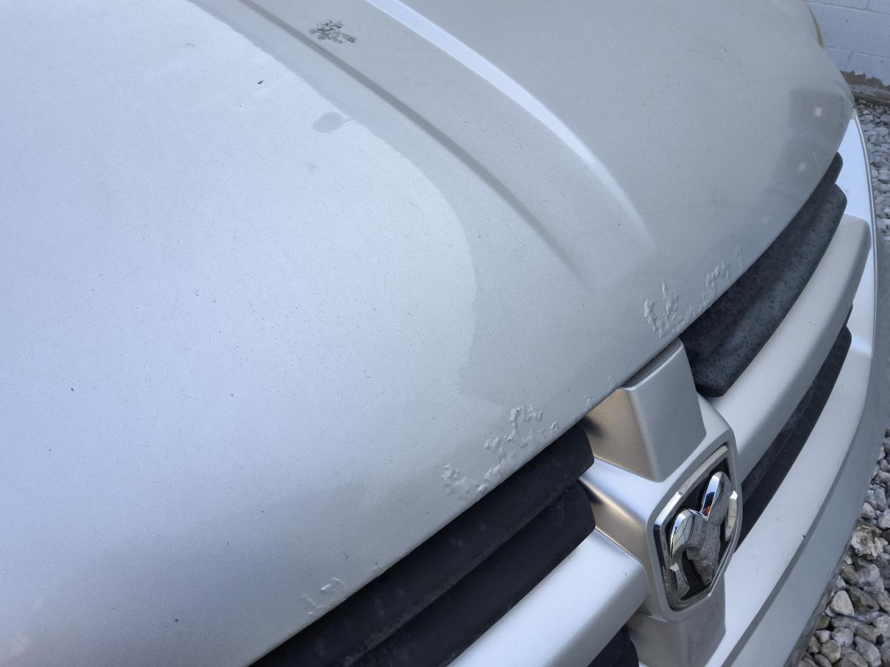 2010 Dodge Grand Caravan Se Серебряный vin: 2D4RN4DE7AR219554 Damage: Hood, Peeling, > 12 Inches