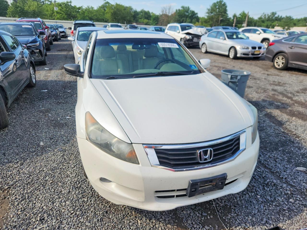 2008 Honda Accord Exl White vin: 1HGCP36828A084417