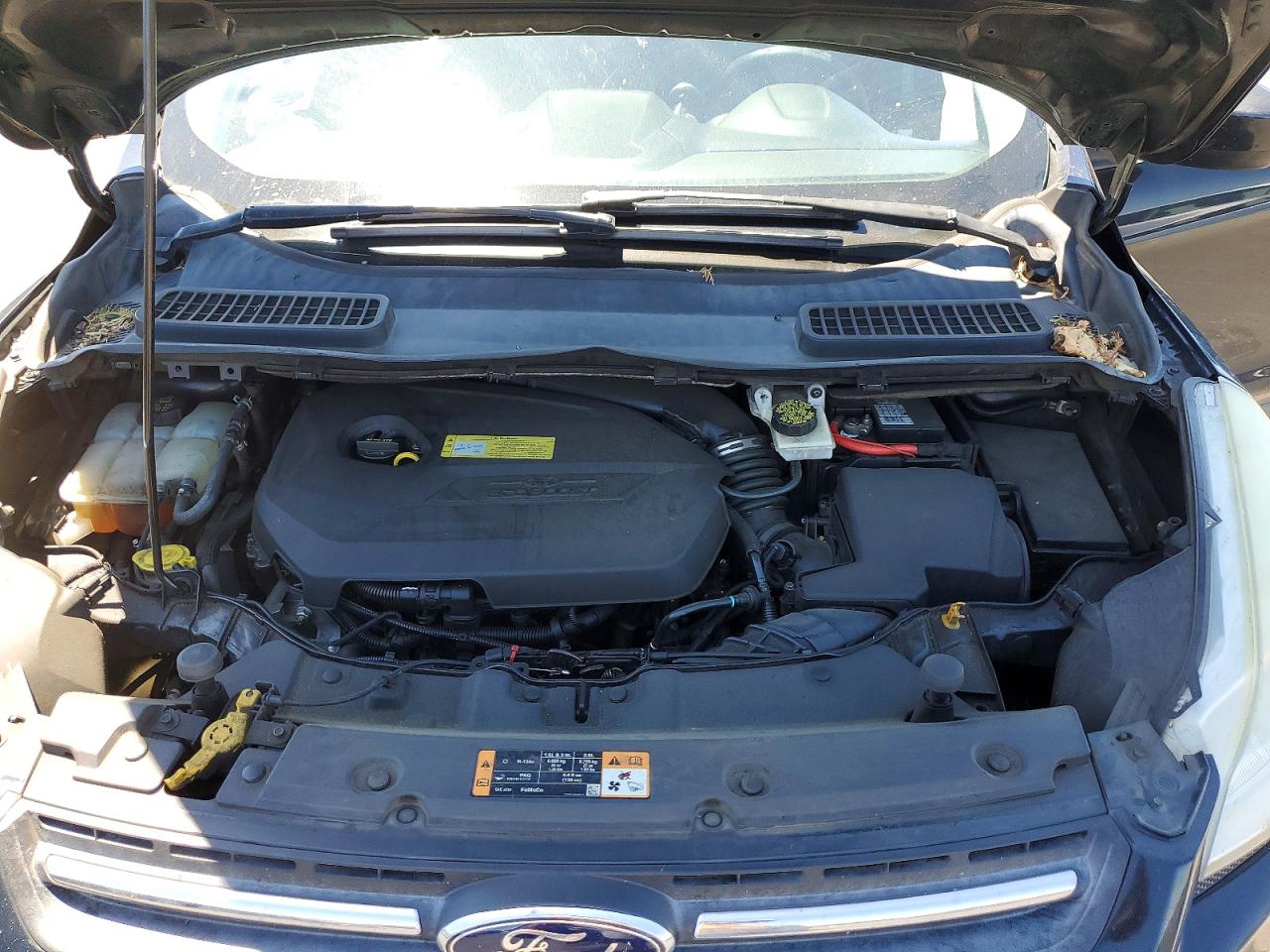 2014 Ford Escape Se Black vin: 1FMCU0GX7EUB01374