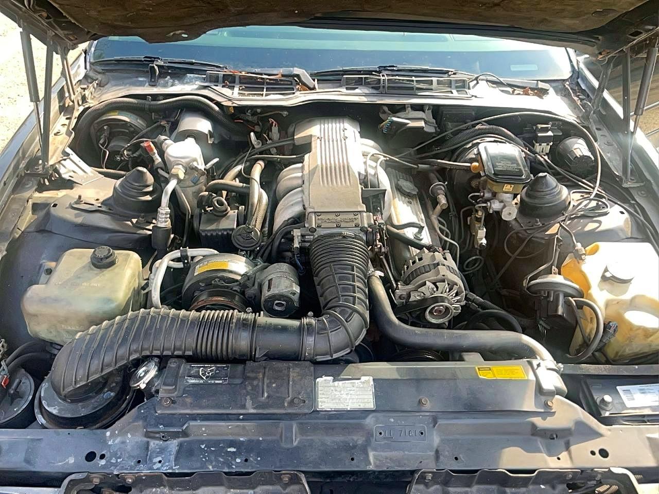 1988 Pontiac Firebird Trans Am Черный vin: 1G2FW218XJL246566