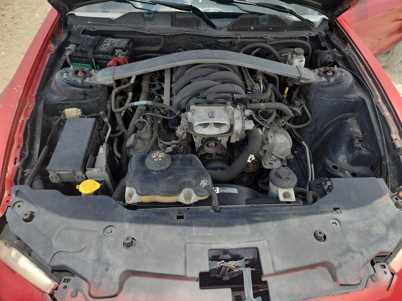 2010 Ford Mustang Gt Red vin: 1ZVBP8CH0A5162099