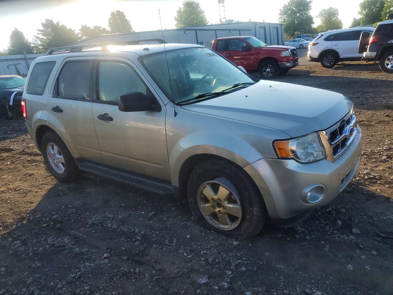 2010 Ford Escape Xlt Beige vin: 1FMCU0D72AKA54491