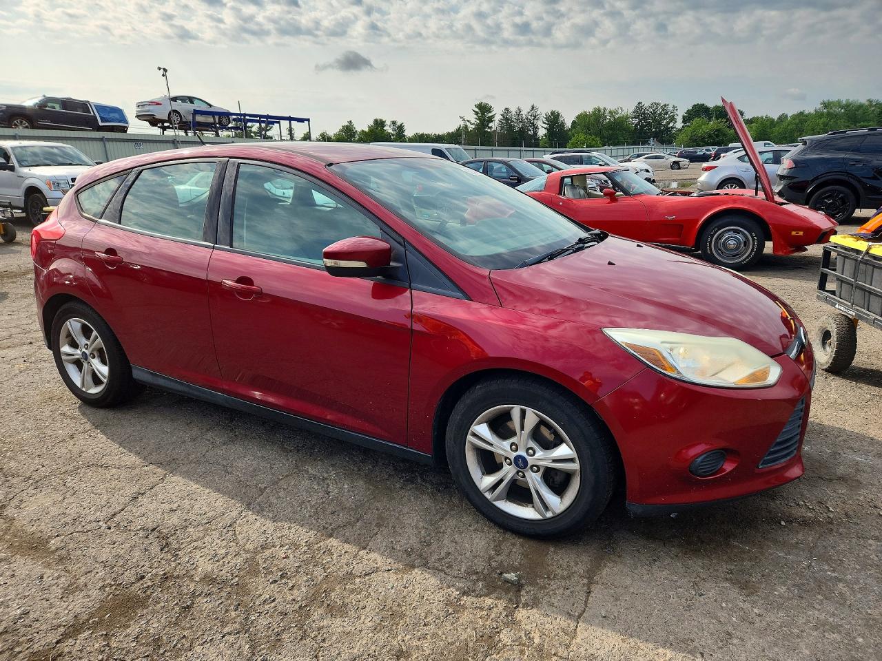2014 Ford Focus Se Red vin: 1FADP3K26EL302689