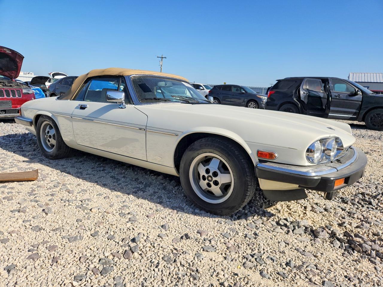 1988 Jaguar Xjs White vin: SAJNV5846JC144813