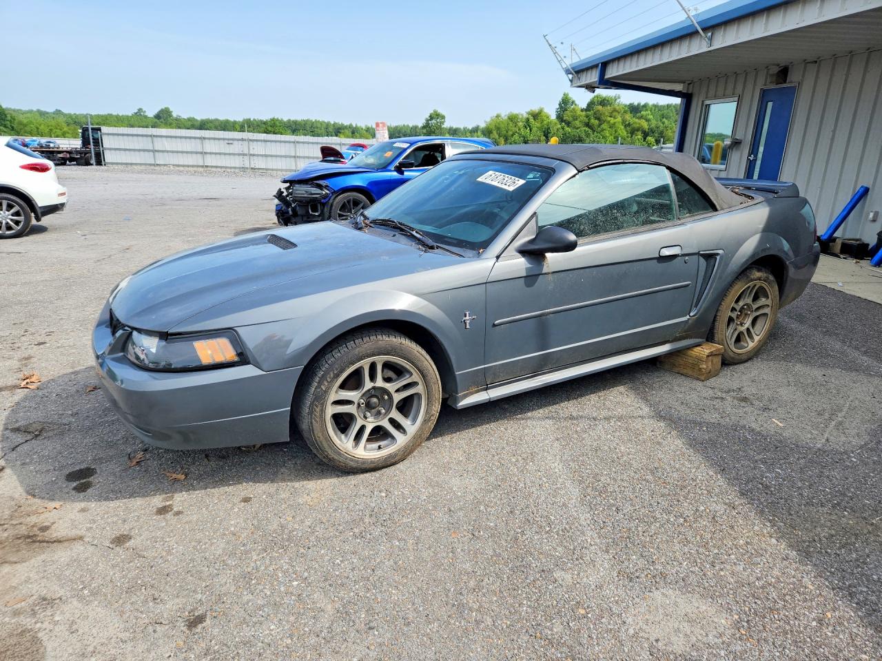 2000 Ford Mustang Gray vin: 1FAFP4444YF281096