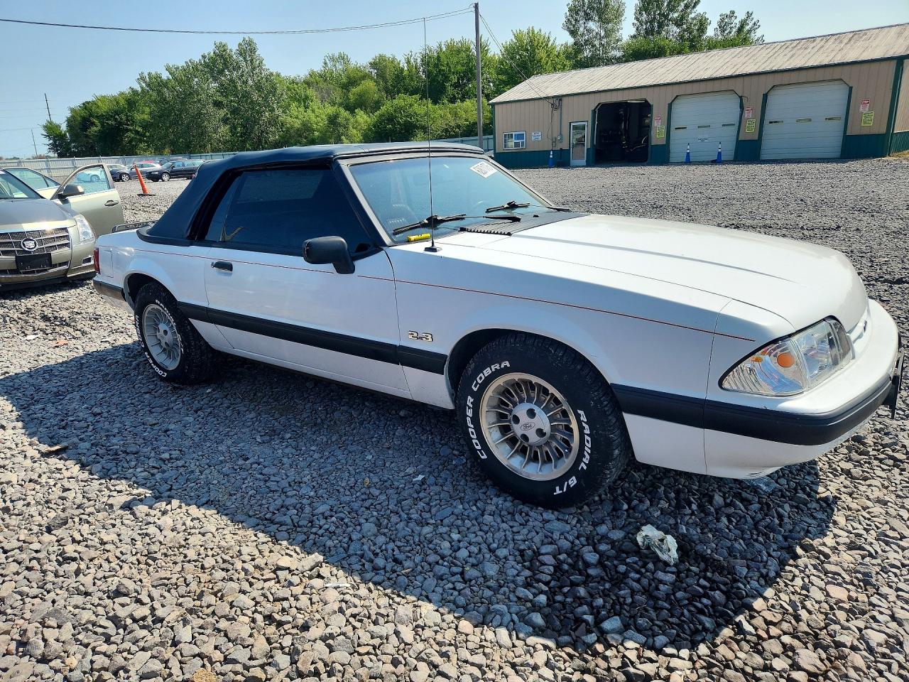 1988 Ford Mustang Lx Белый vin: 1FABP44A1JF161041