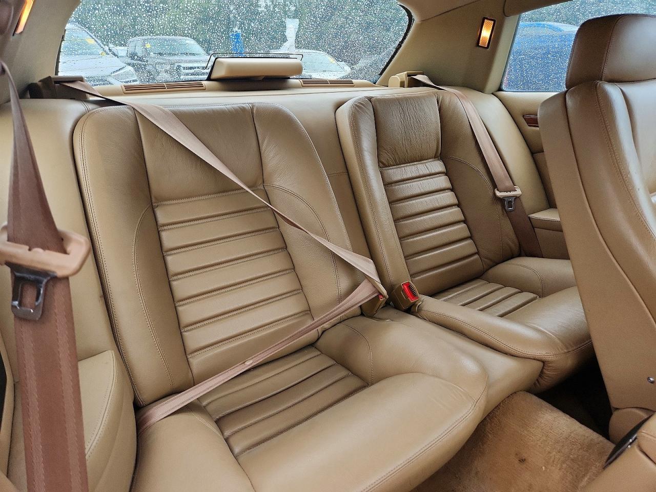 1992 Jaguar Xjs Green vin: SAJNW5841NC180802