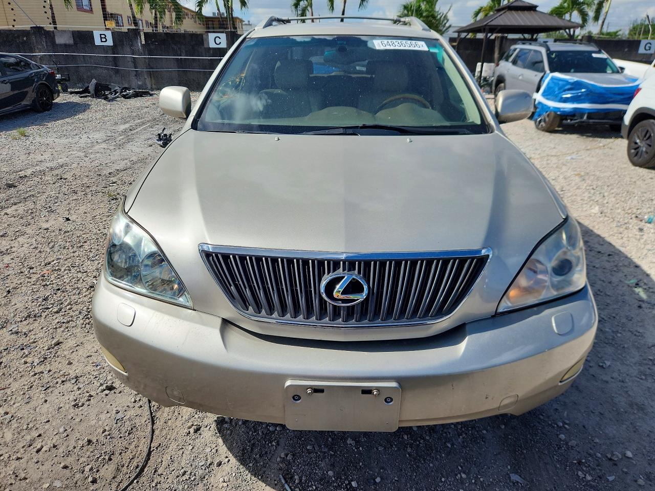 2007 Lexus Rx 350 Beige vin: JTJGK31U470001350