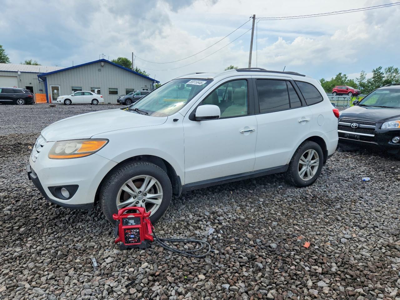 2011 Hyundai Santa Fe Limited Белый vin: 5XYZKDAG3BG026318