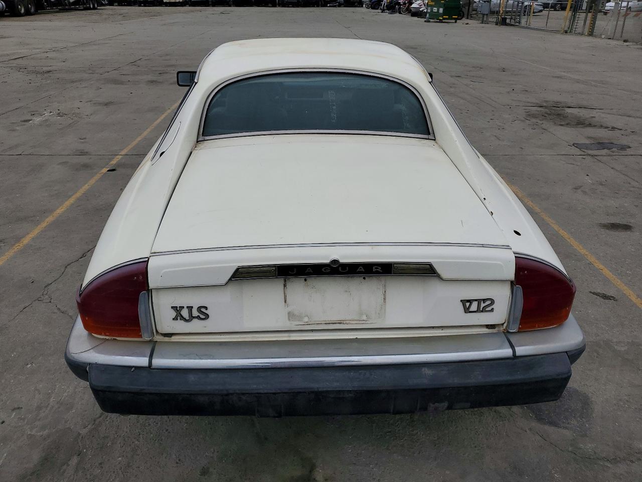 1984 Jaguar Xjs White vin: SAJNV5842EC113497