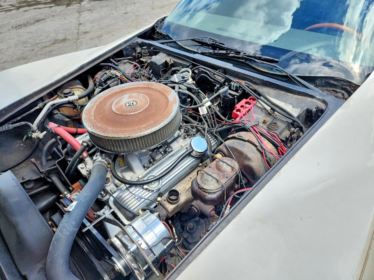 1977 Chevrolet Corvette White vin: 1Z37L7S438496