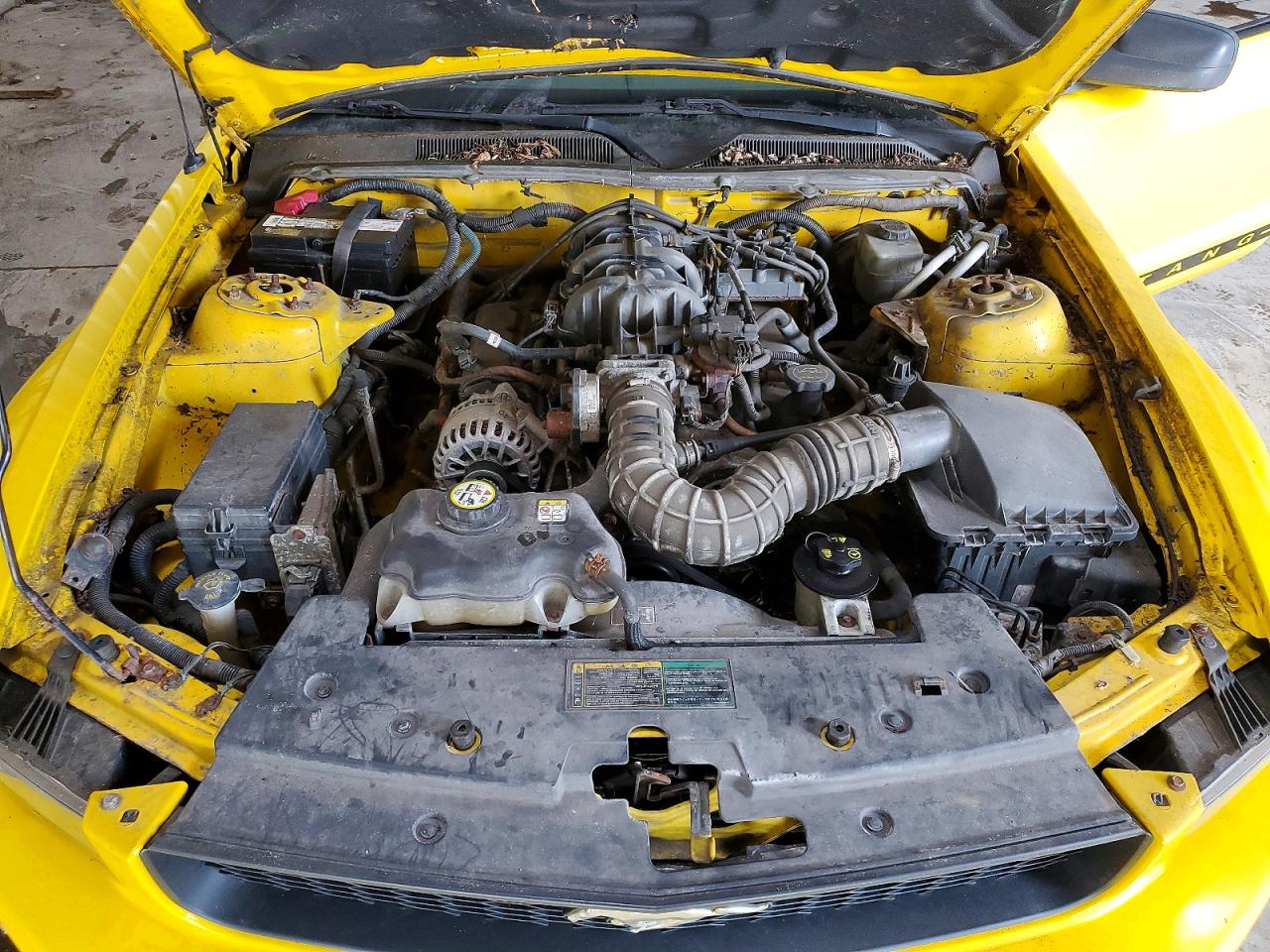 2006 Ford Mustang Желтый vin: 1ZVFT80N065115900