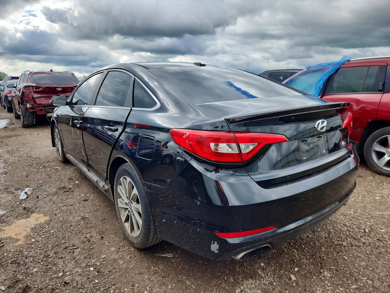 2015 Hyundai Sonata Sport Black vin: 5NPE34AF7FH099113