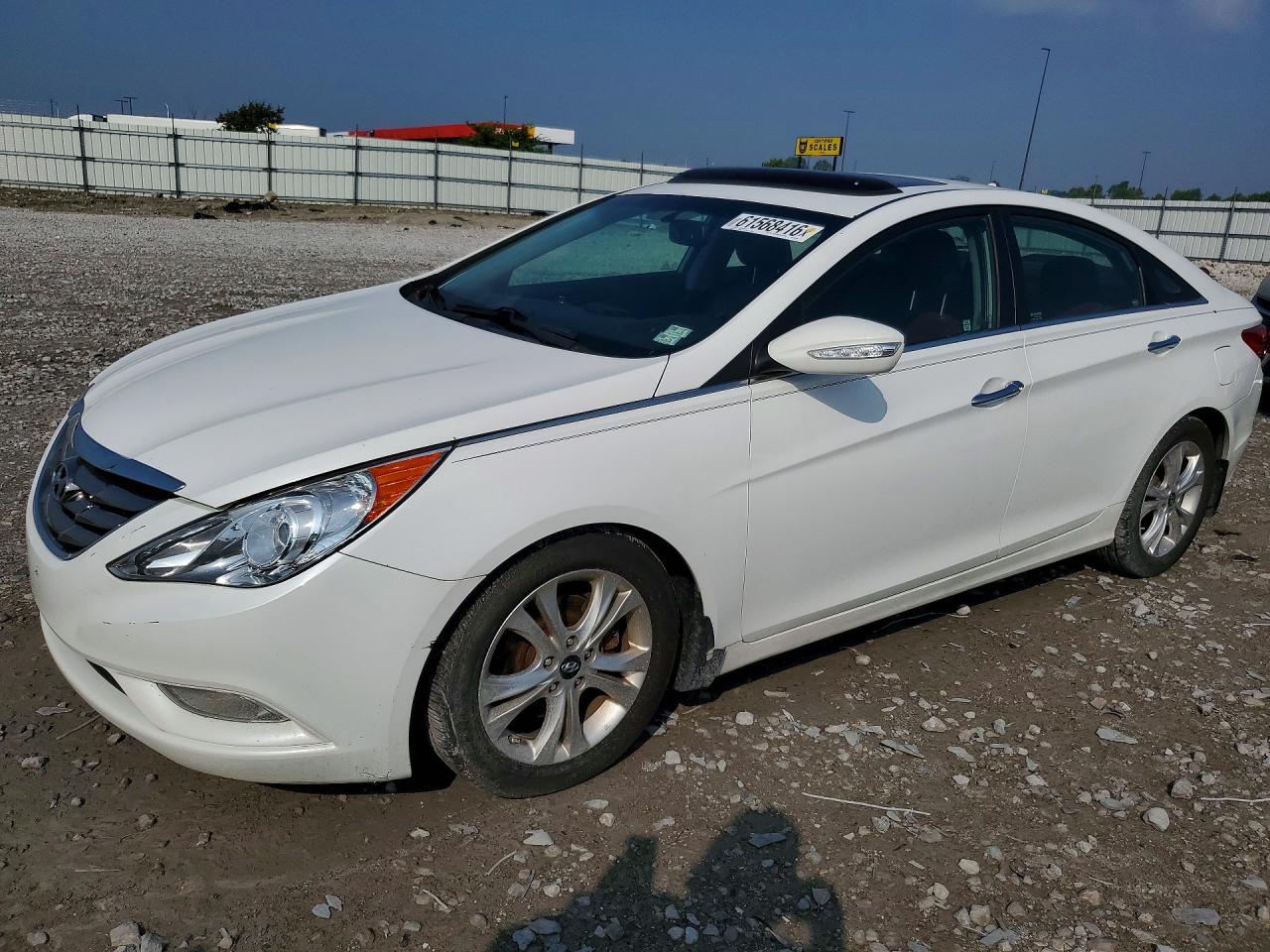 2011 Hyundai Sonata Limited White vin: 5NPEC4AC5BH275480