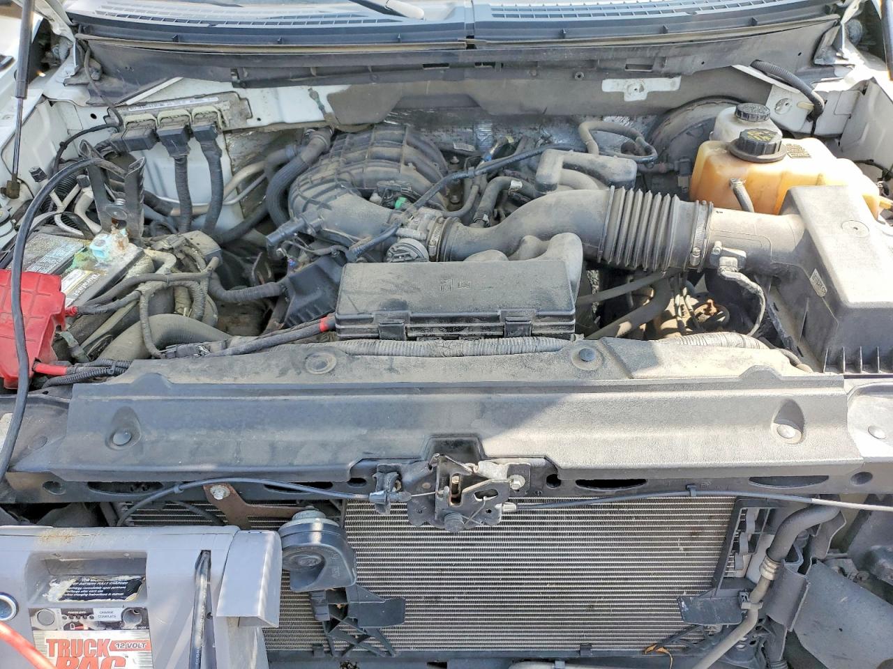 2013 Ford F150 Белый vin: 1FTMF1CM3DKE14761