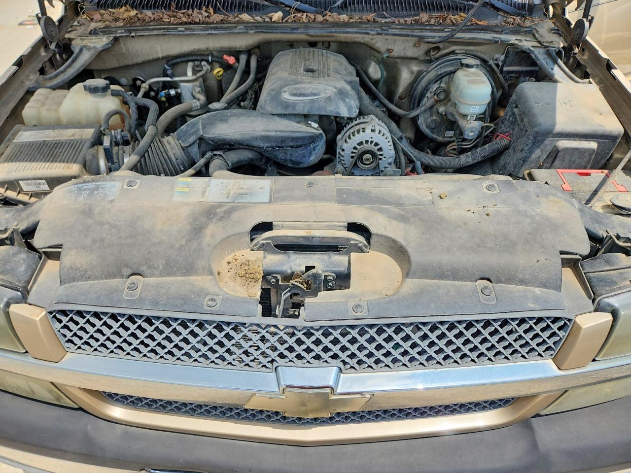 2005 Chevrolet Silverado K1500 Tan vin: 1GCEK19Z15Z279873