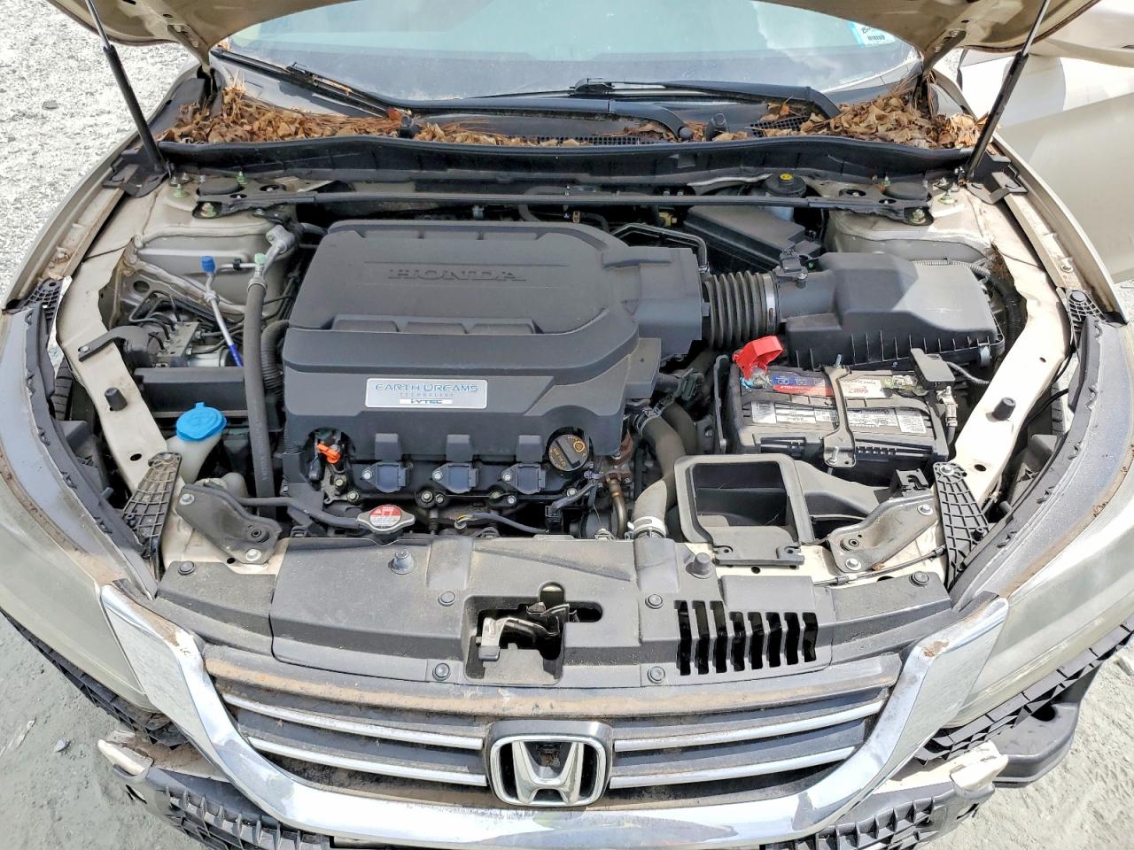 2013 Honda Accord Exl Tan vin: 1HGCR3F82DA021547