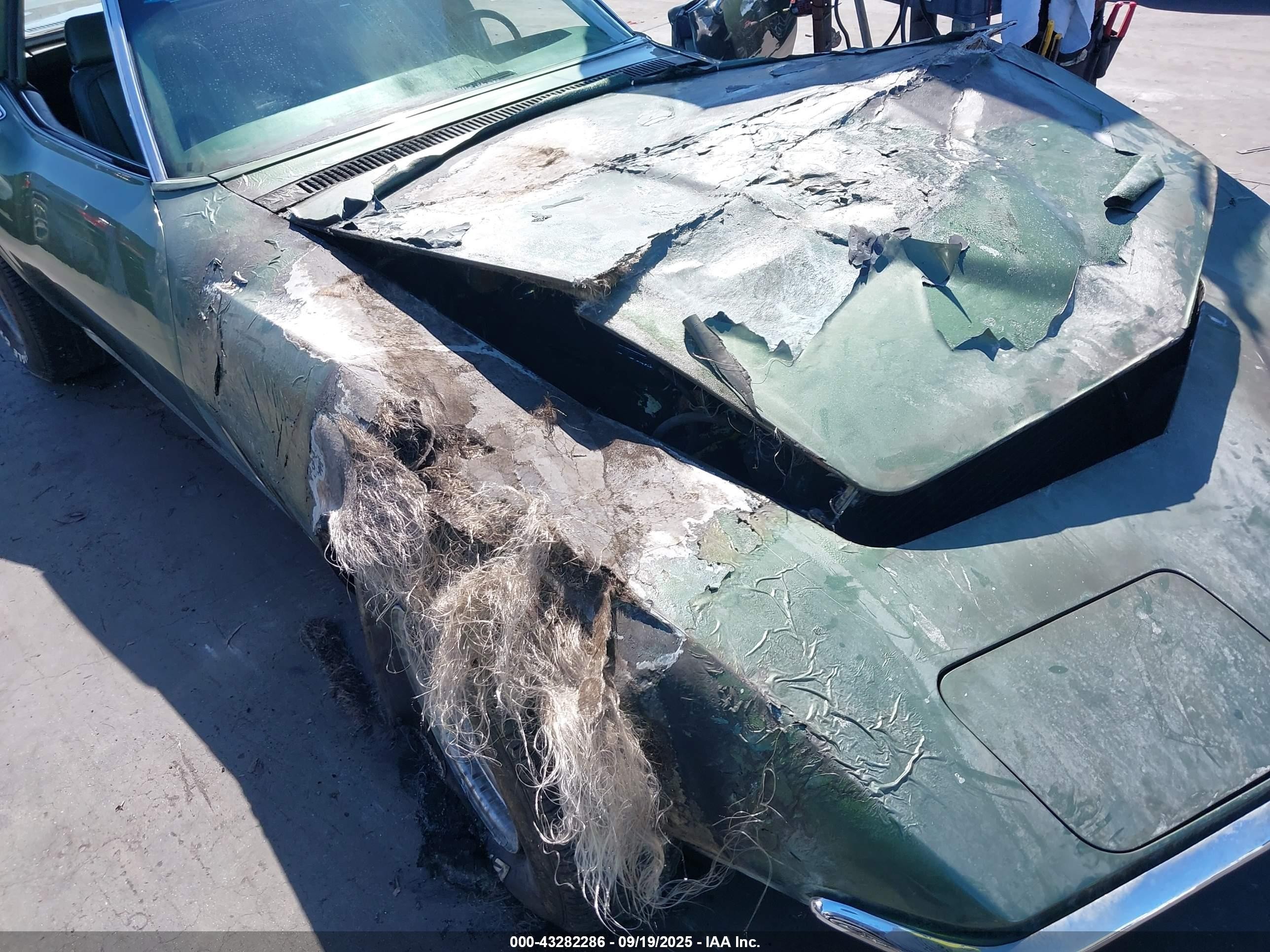 1969 Chevrolet Corvette   Зеленый vin: 194379S720375    