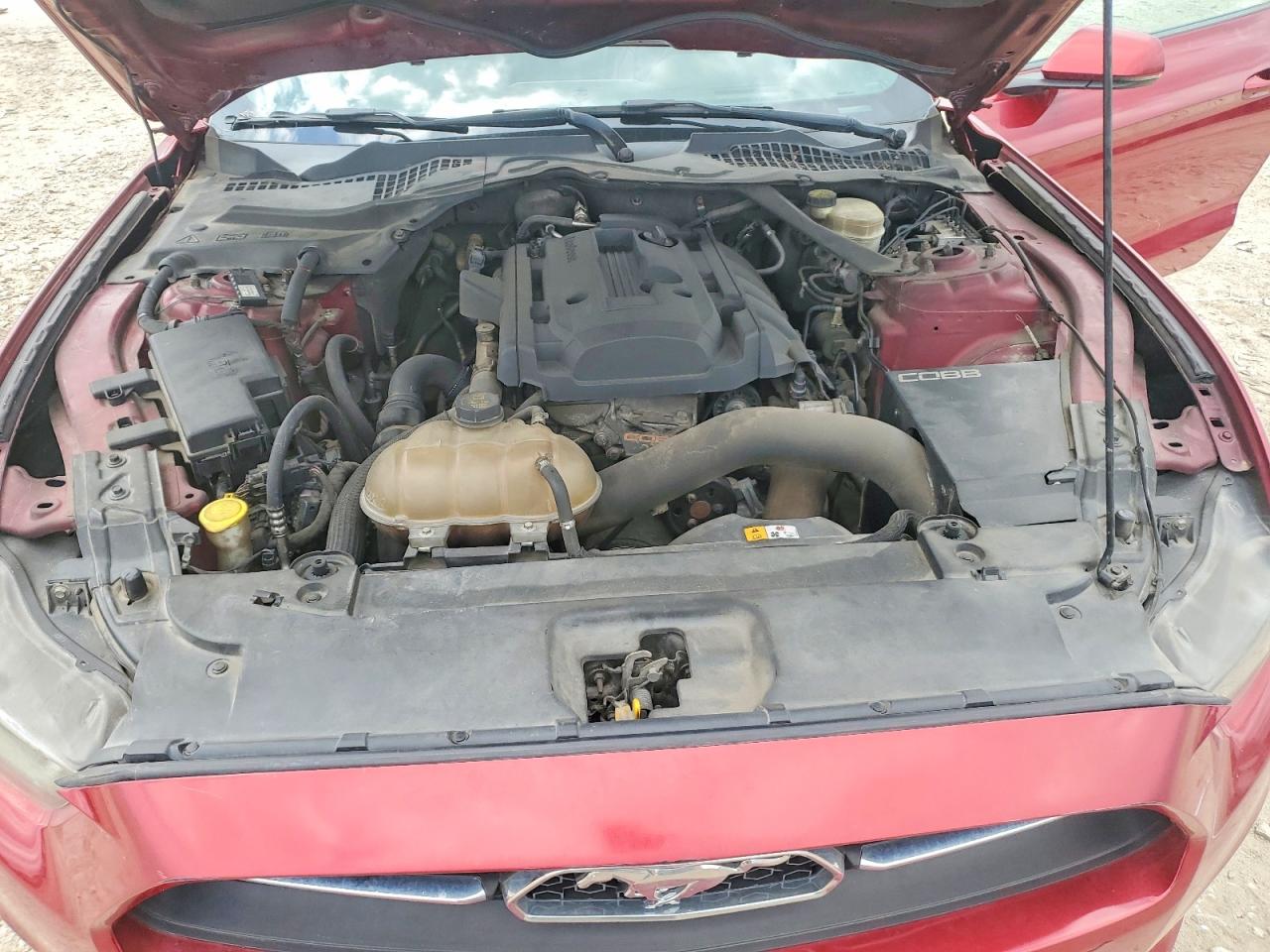 2015 Ford Mustang Red vin: 1FA6P8TH2F5317706