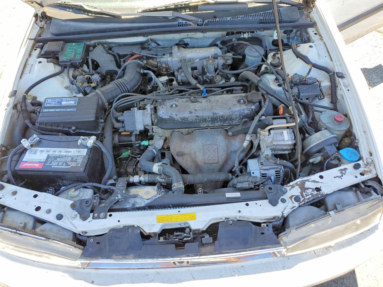 1991 Honda Accord Lx White vin: JHMCB7653MC003495