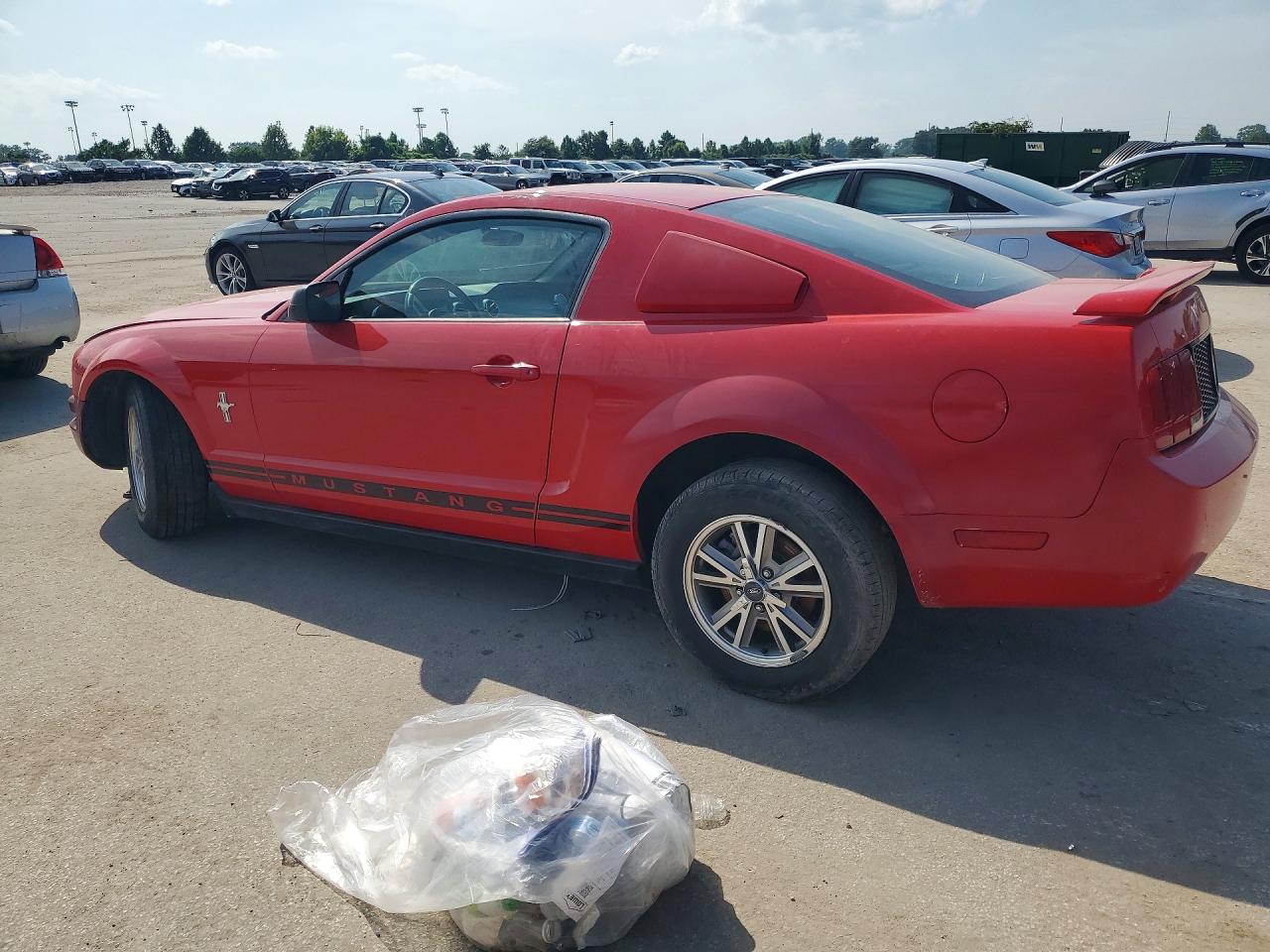 2006 Ford Mustang Red vin: 1ZVFT80N265117194