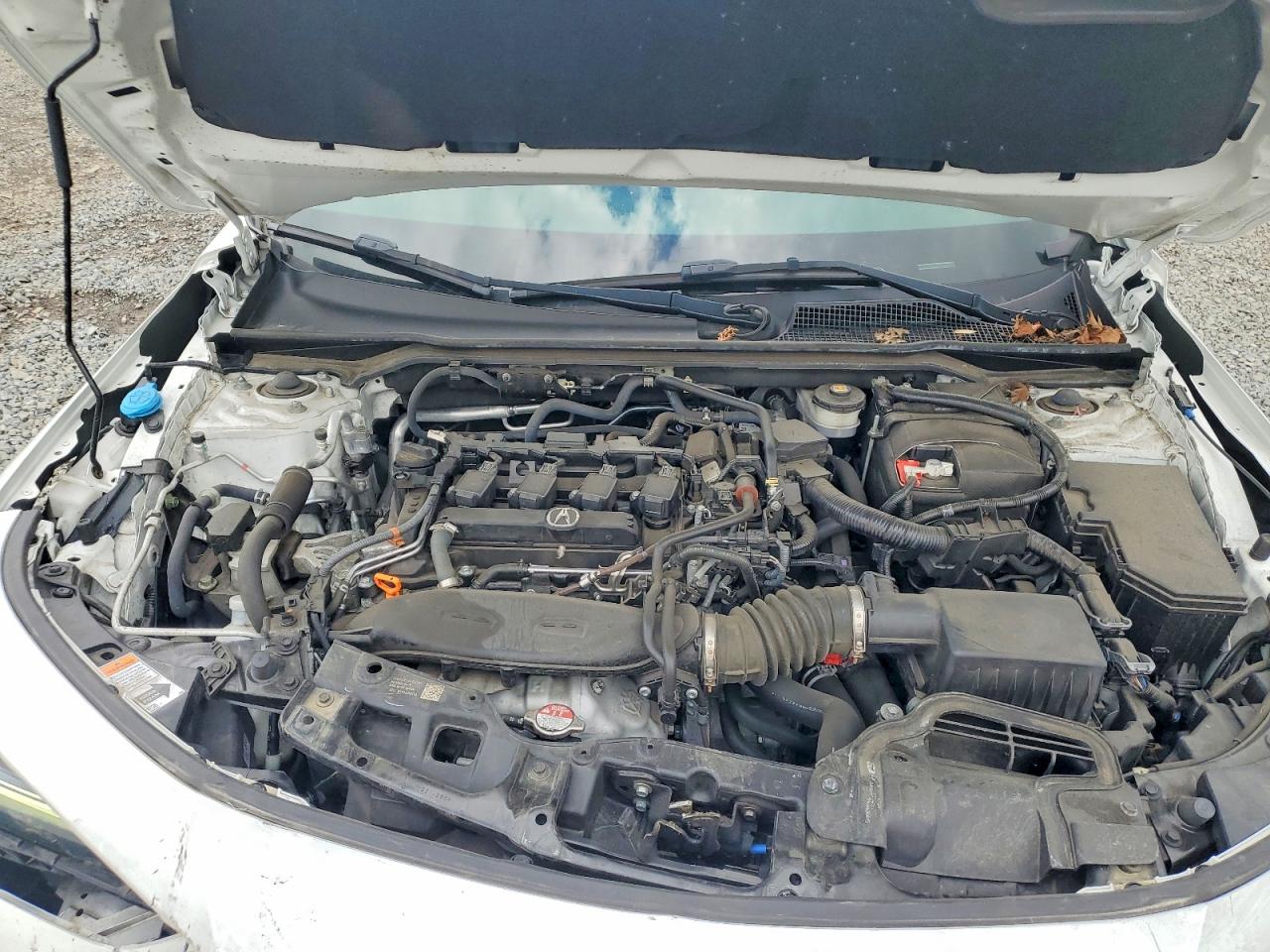 2023 Acura Integra Белый vin: 19UDE4H25PA021321